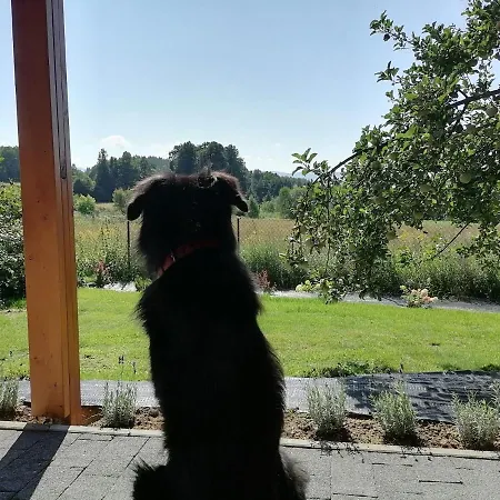 Pod Borówką Casa de Férias Staniszow