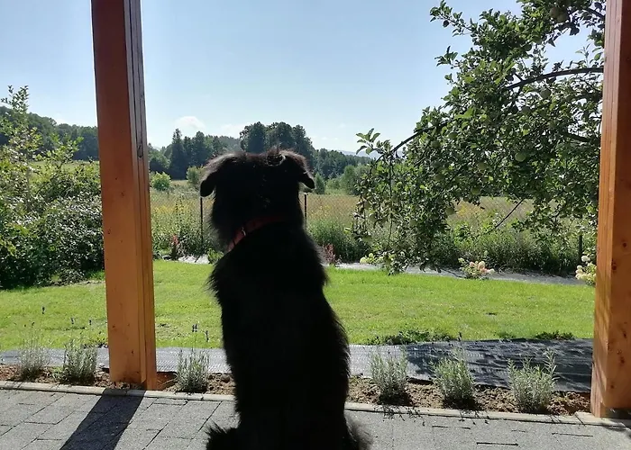 Pod Borówką Dom wakacyjny Staniszow