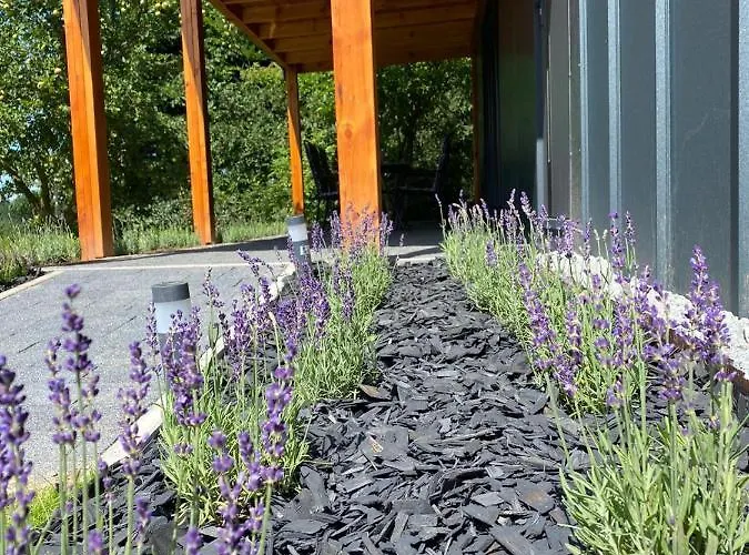 Pod Borówką Dom wakacyjny