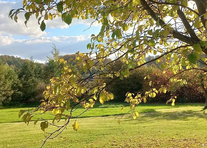 Pod Borówką * Staniszow