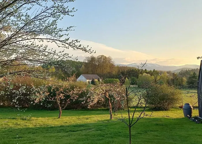 Dom wakacyjny Pod Borówką